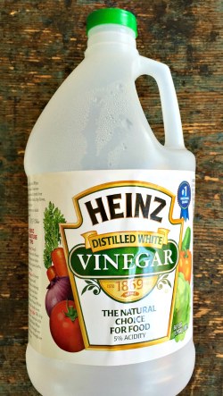 Vinegar cleaning